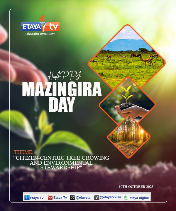 Environmental Day Design